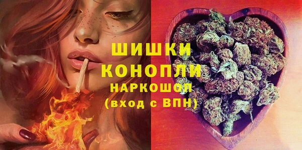 винт Богданович
