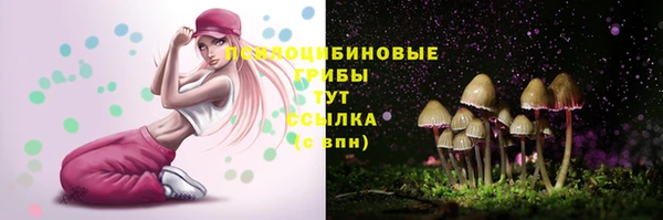 дурь Богородицк
