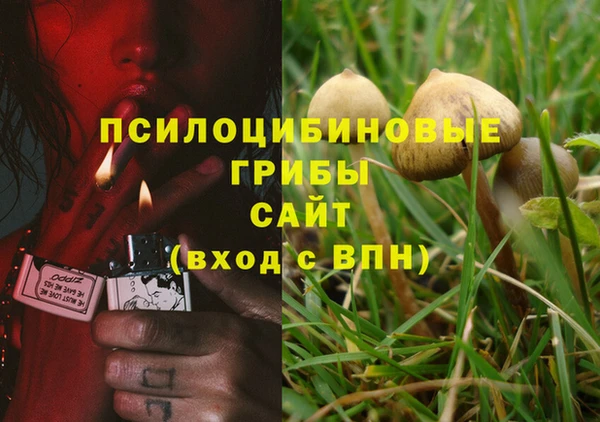 винт Богданович
