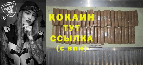 винт Богданович